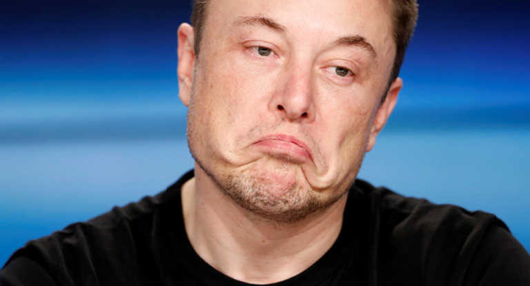 厌倦垃圾讯息　Elon Musk 向狗狗币创办人求助